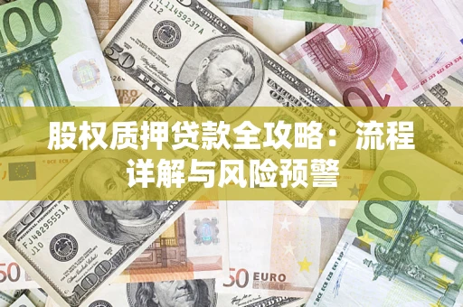 武汉股权质押贷款全攻略：流程详解与风险预警