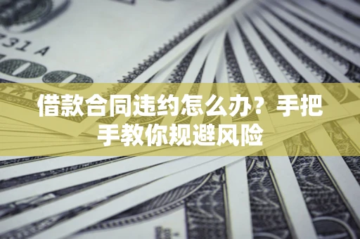 武汉借款合同违约怎么办？手把手教你规避风险