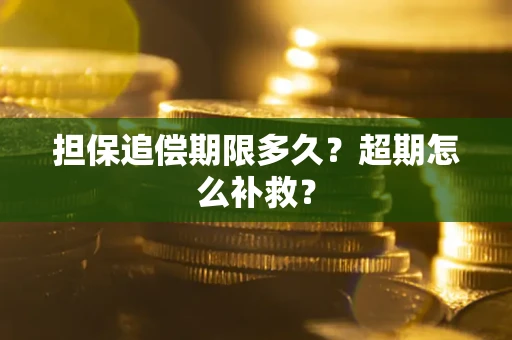 武汉担保追偿期限多久？超期怎么补救？