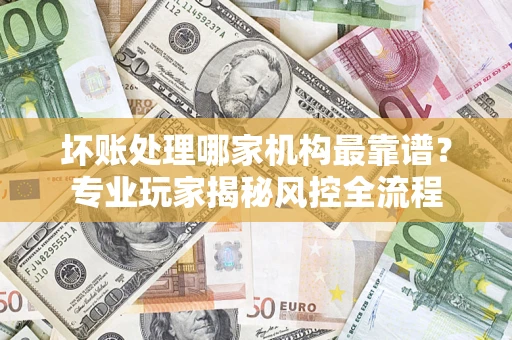 武汉坏账处理哪家机构最靠谱？专业玩家揭秘风控全流程