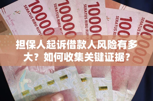 武汉担保人起诉借款人风险有多大？如何收集关键证据？