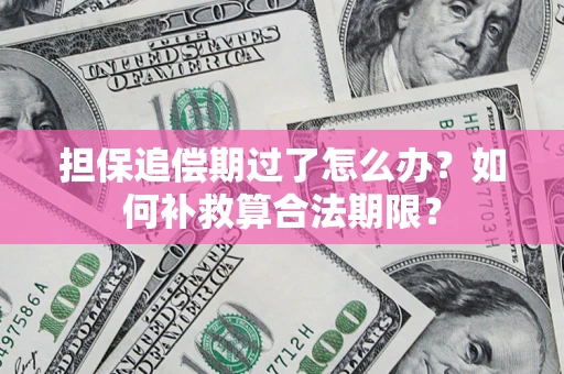 武汉担保追偿期过了怎么办？如何补救算合法期限？