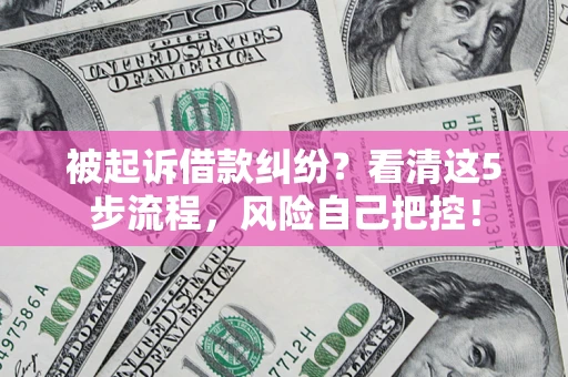 武汉被起诉借款纠纷？看清这5步流程，风险自己把控！