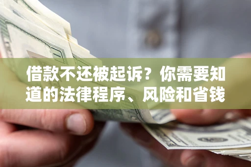 武汉借款不还被起诉？你需要知道的法律程序、风险和省钱技巧
